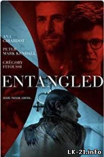 Entangled 2019