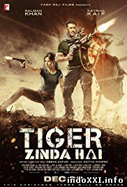 Tiger Zinda Hai (2017)